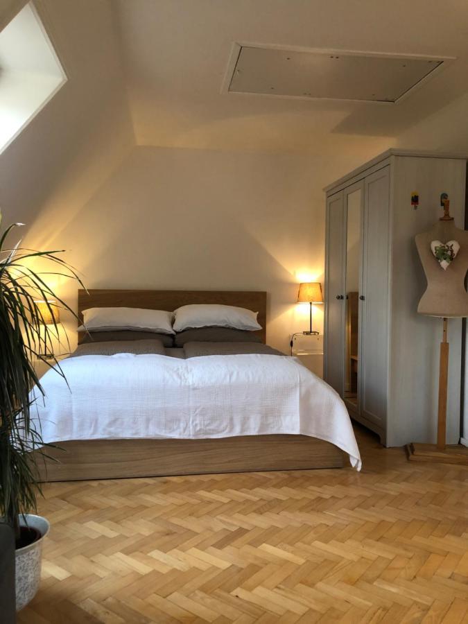 Appartement Im Gruenen شاربوتس المظهر الخارجي الصورة